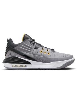 Кроссовки JORDAN MAX AURA 5 DZ4353-007 Male Cement Gray