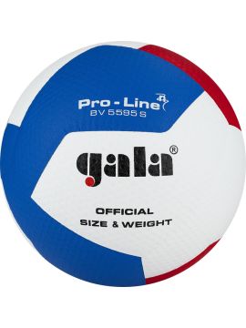 Мяч волейбольный GALA Pro-Line 12, р. 5,синт.кожа,бело-голубой